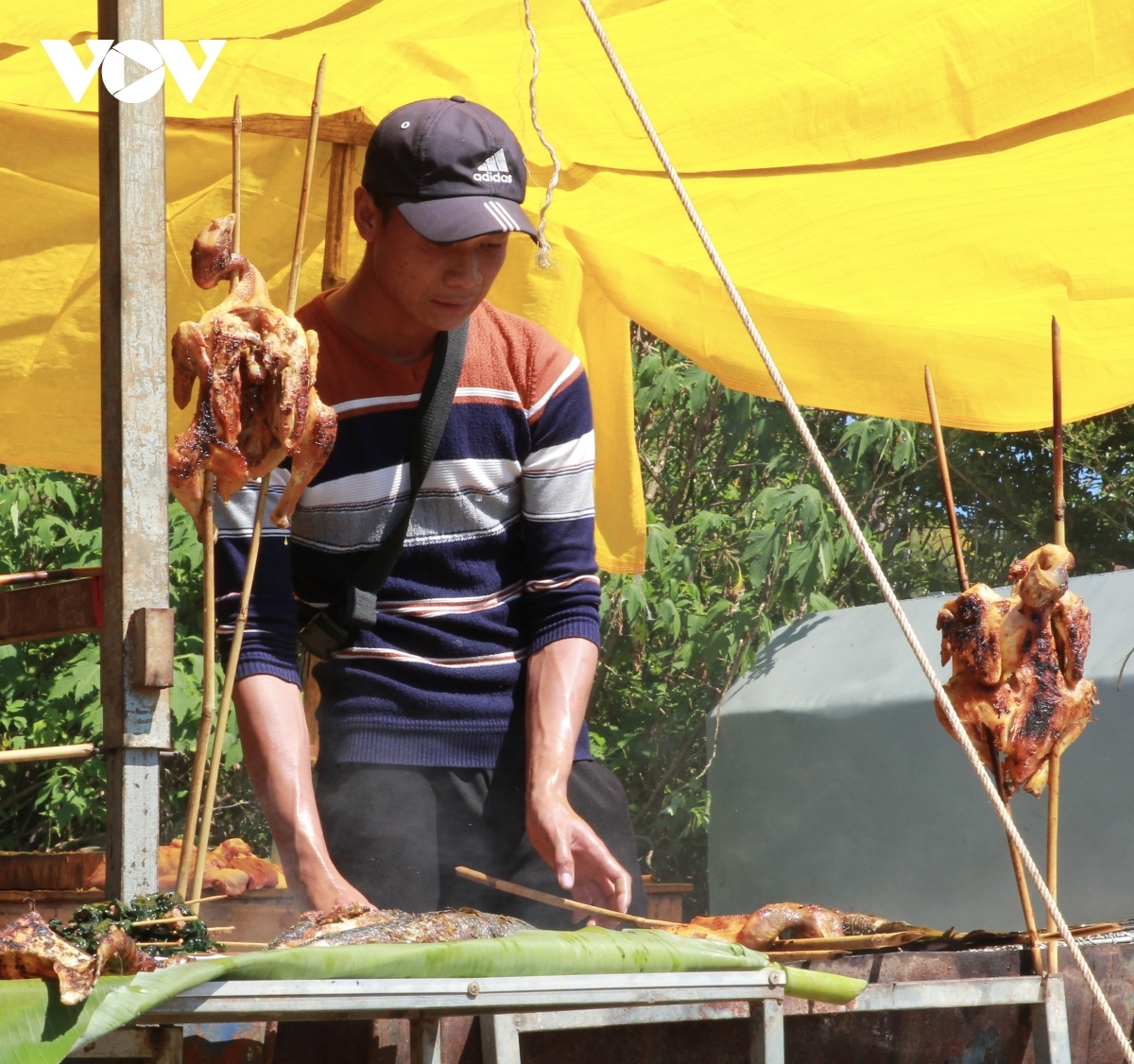 colourful festive season in the central highlands picture 10