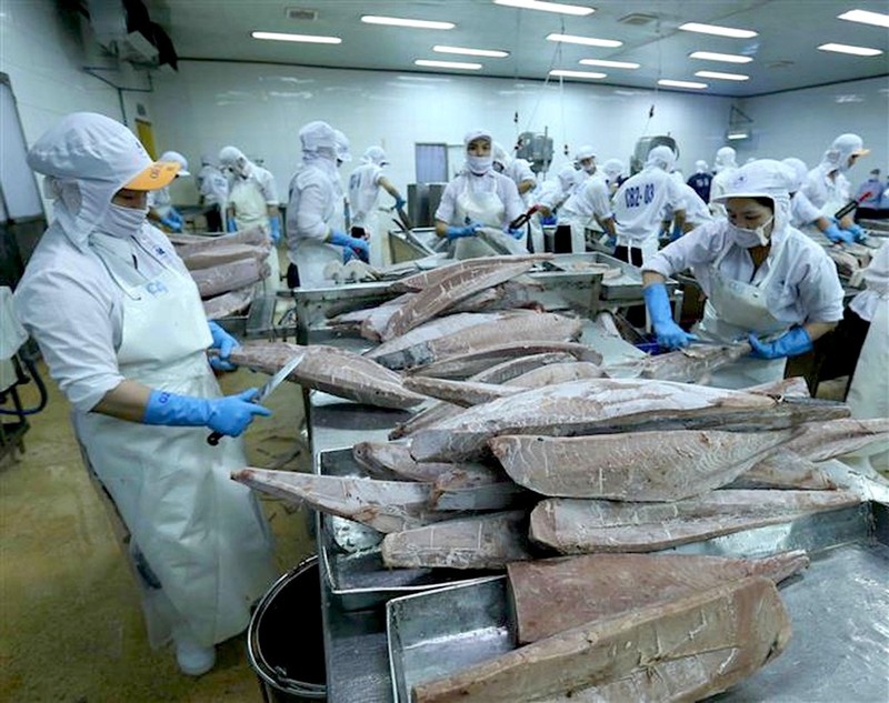 local tuna exports to us market enjoy swift recovery picture 1