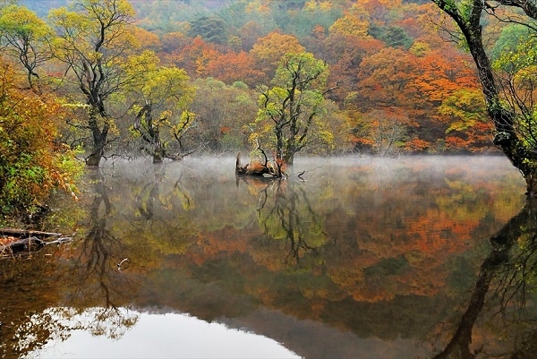 kham pha 7 kho bau tu nhien cua tinh gyeongsangbuk, han quoc hinh anh 4