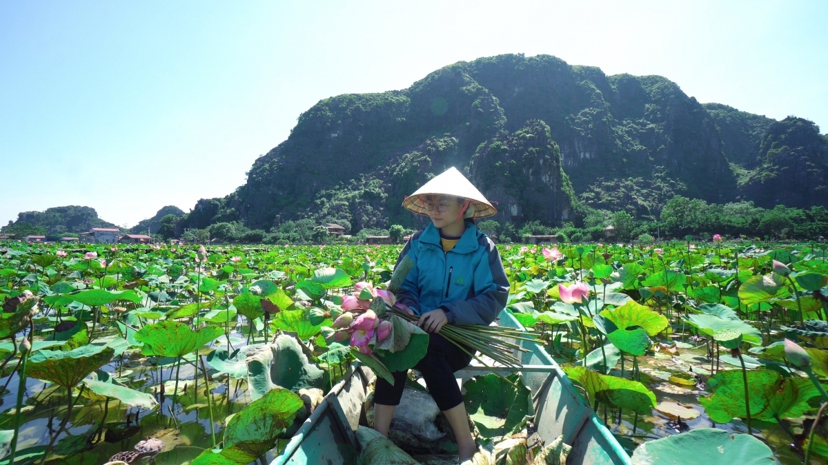 sampling lotus cuisine of northern vietnam picture 3