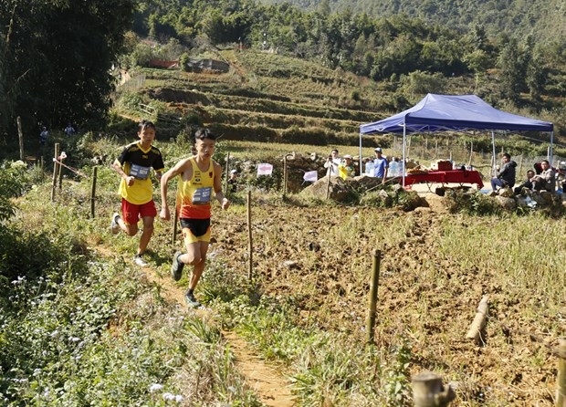 domestic runners triumph at vietnam mountain marathon 2020 picture 1