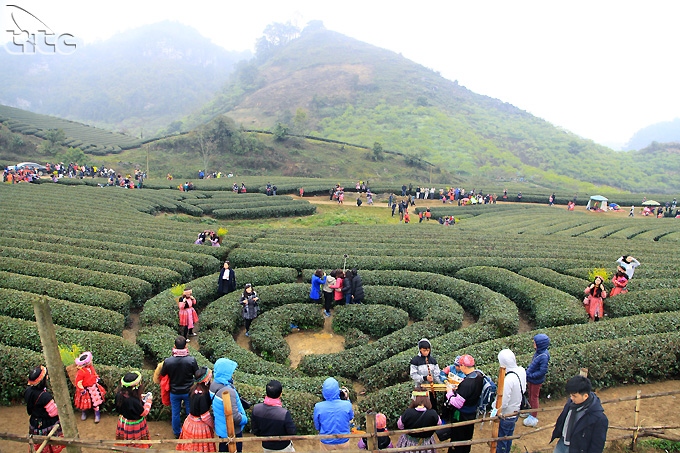 moc chau plateau - an ideal tourist destination in northern vietnam picture 10