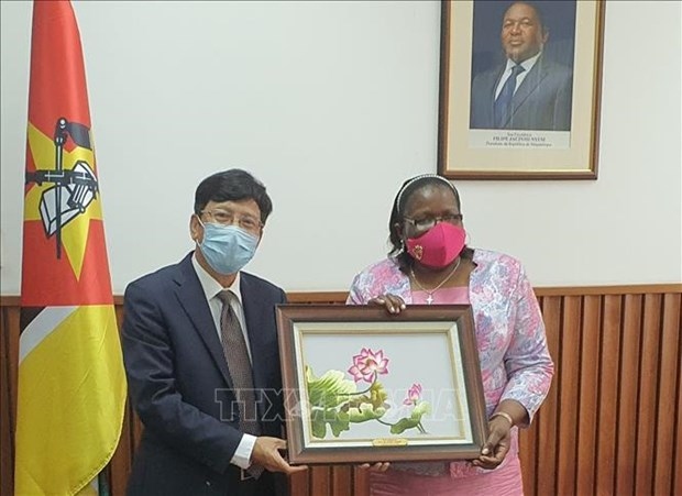 mozambique praises vietnamese role as asean chair and non-permanent unsc member picture 1