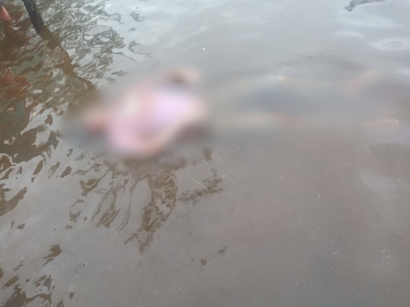 Hai anh em ruột chết đuối trên sông Trường Giang, tỉnh Quảng Nam ...