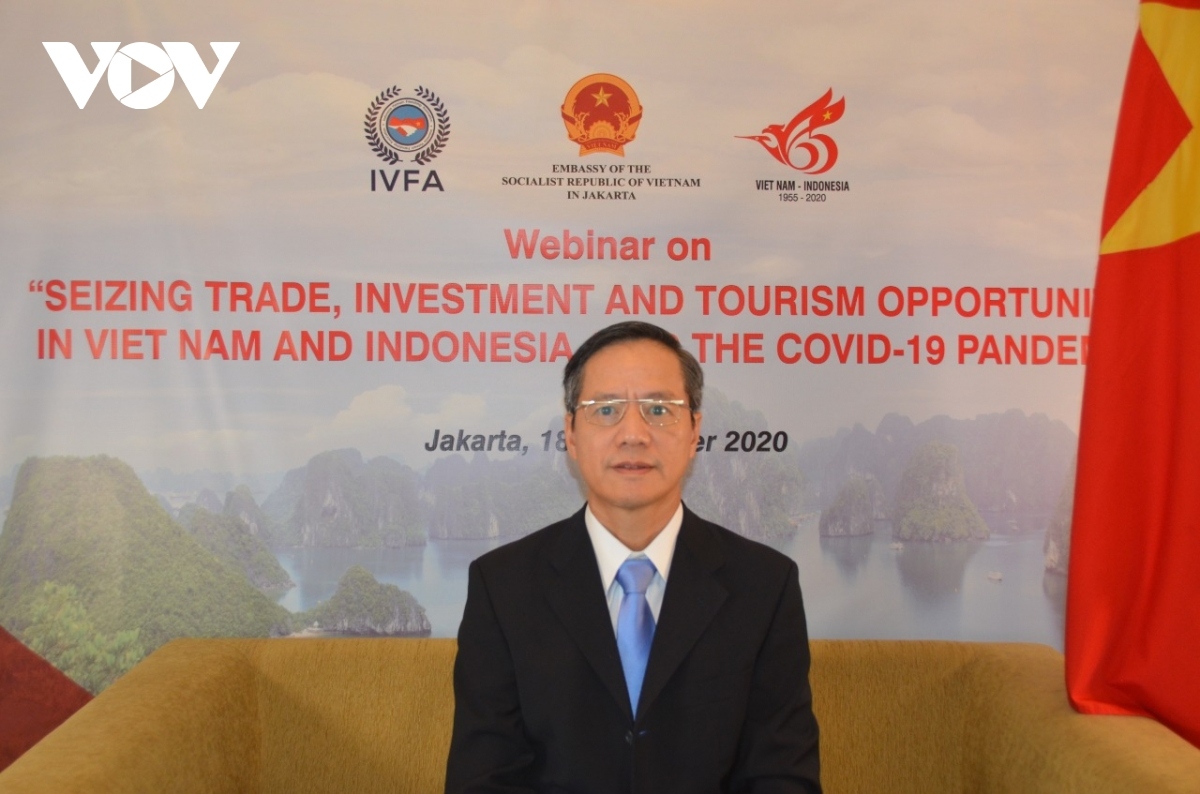 vietnam, indonesia step up investment and tourism co-operation picture 1