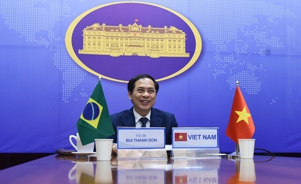 vietnam, brazil come together to hold political consultation picture 1
