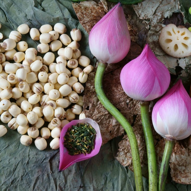 khung gio vang cua giac ngu giup ban khoe manh, keo dai tuoi xuan hinh anh 6