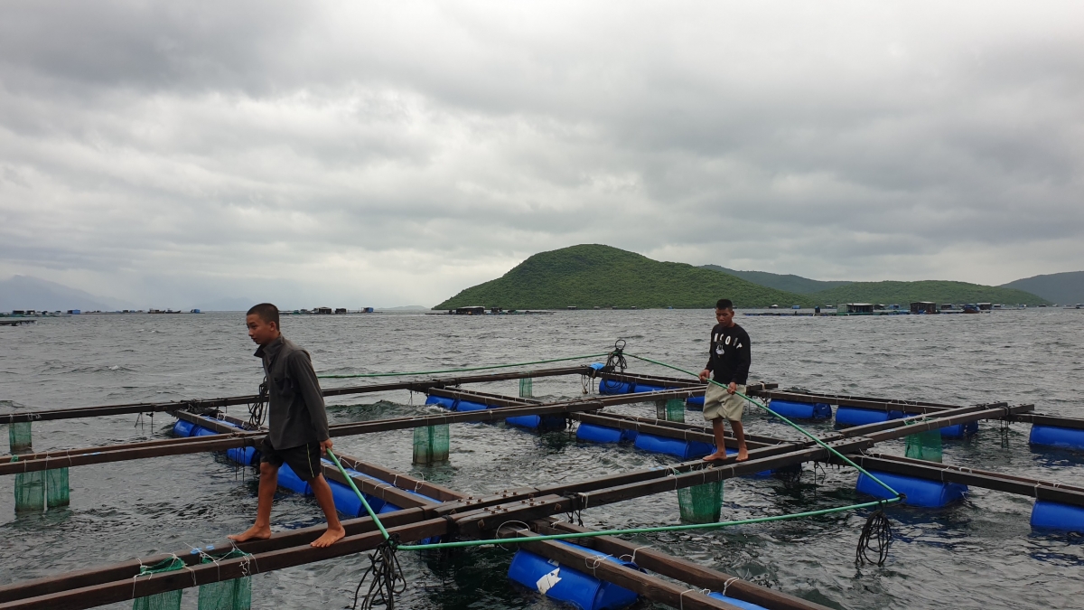 Khánh Hòa: Trực canh không để người dân quay lại lồng bè trong đêm