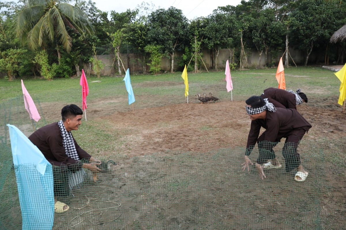 mac van khoa khoai chi, ha he vi choi xo duoc khach moi hinh anh 4