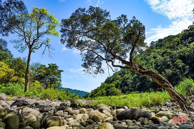 vu quang national park receives asean heritage park certificate picture 1