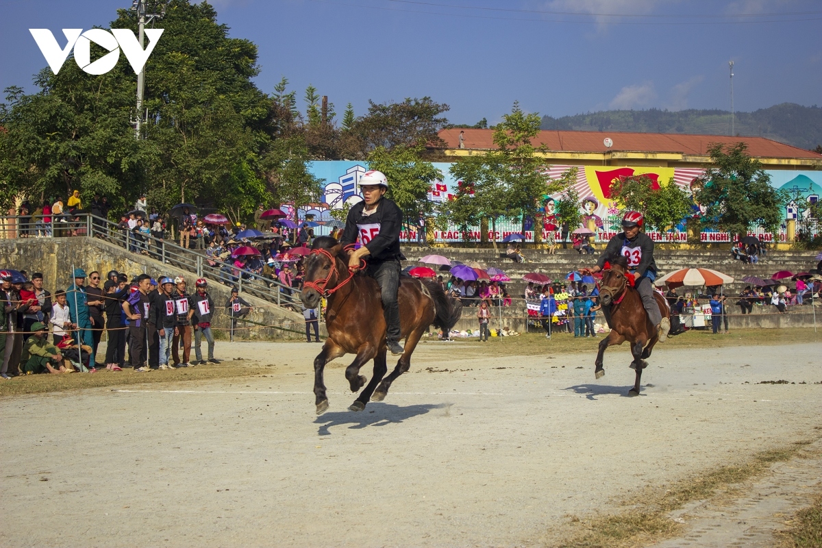 a glimpse of wintery festival on bac ha plateau picture 6