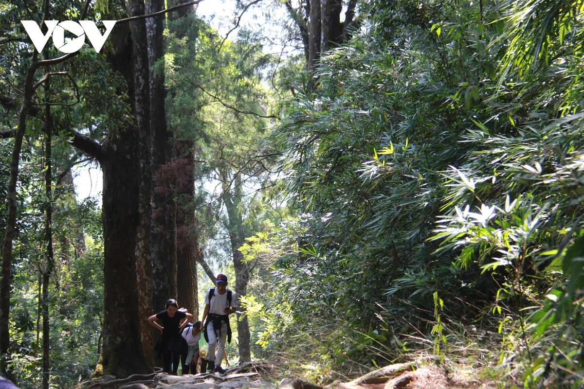 yen tu mountain a popular autumn travel destination picture 3