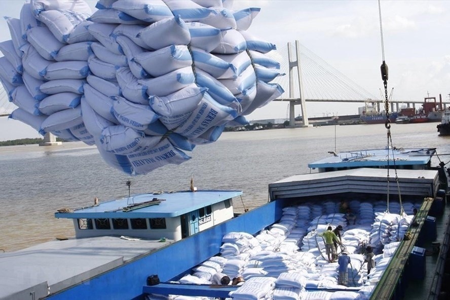 Rice is one of Vietnam's major agricultural products for export to the EU (Photo: VNA)