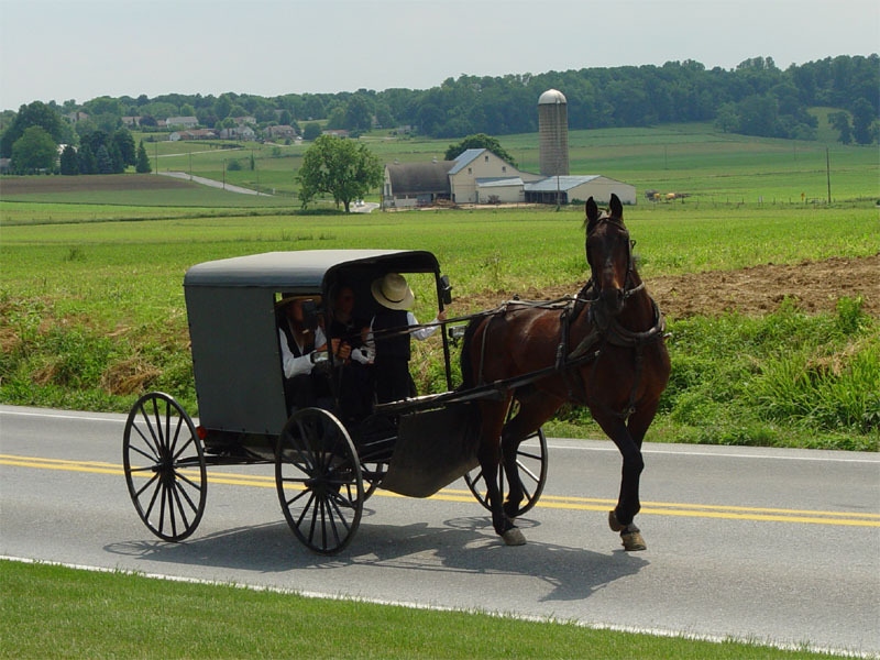 Người Amish chọn cách vận chuyển bằng ngựa để giữ cho cộng đồng ở địa phương có sự gắn kết hơn. Ảnh: Wikimedia