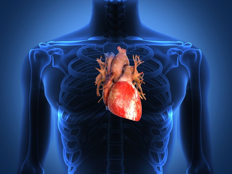 Tim đập bất thường: Một dấu hiệu ban đầu khác của bệnh thiếu máu là tình trạng nhịp tim thay đổi thất thường không liên quan đến các hoạt động thể chất. Triệu chứng này gần như luôn đi kèm với cảm giác mệt mỏi rã rời.