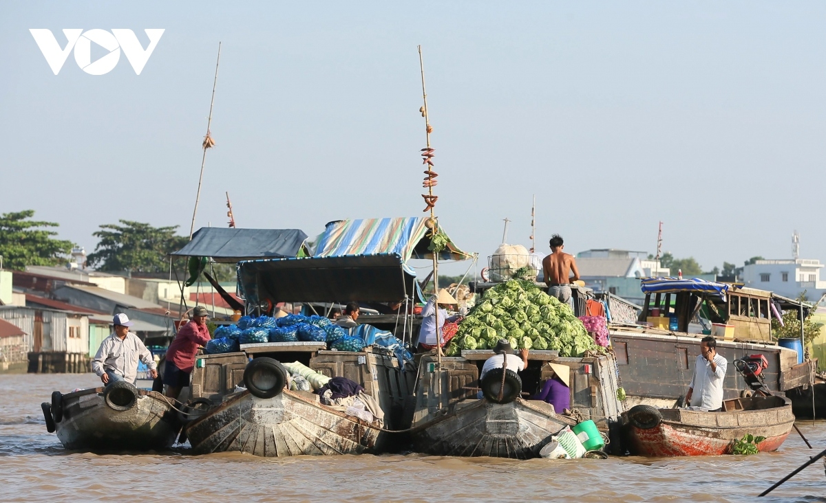 a day out to discover cai rang floating market picture 6