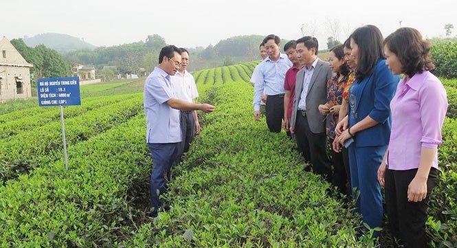 bao cao chinh tri Dai hoi Dang bo tinh thai nguyen sat tinh hinh dia phuong hinh anh 3