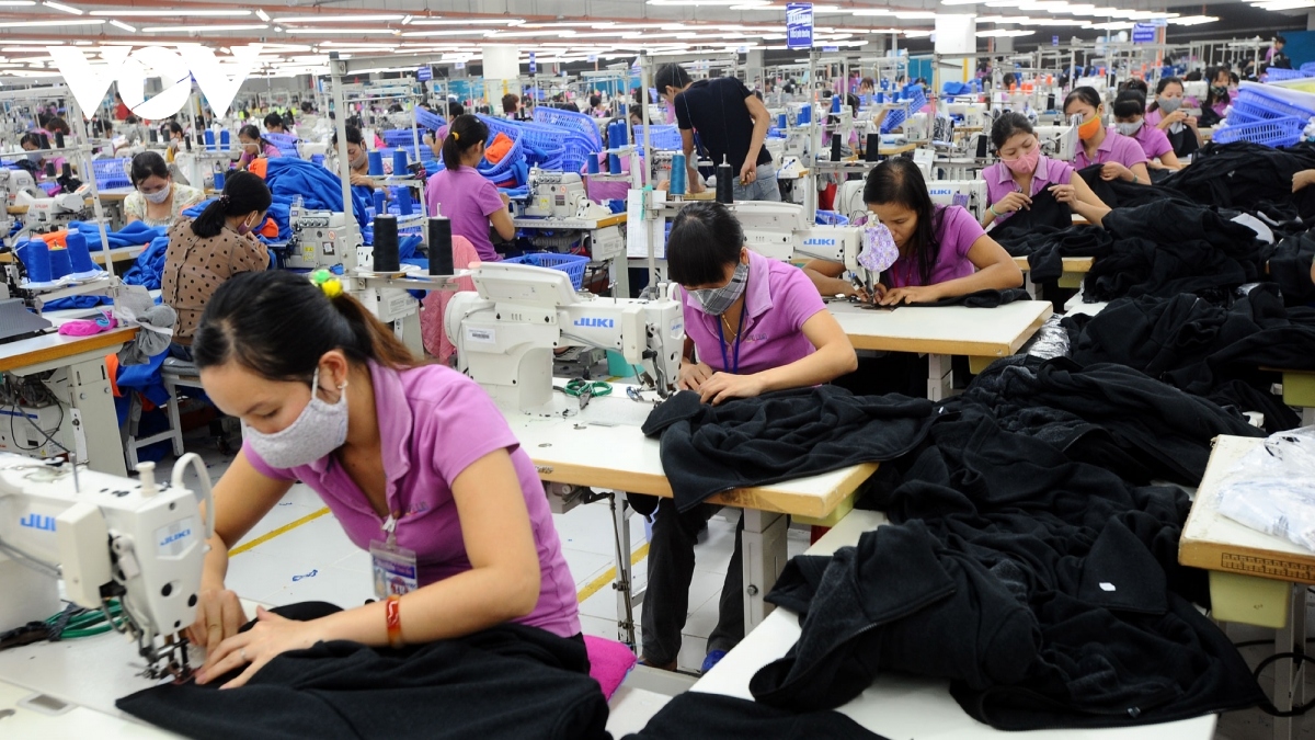vietnam, netherlands capitalise on evfta to enhance co-operation in fashion picture 1