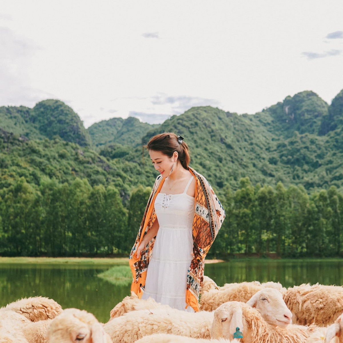 Emerging in the past year, along with Hang Dance, Gia Hung Ninh Binh sheep field is the hottest check-in point in Gia Vien district.  The vast sheep fields are quietly lying on the dike slopes, promising to bring you many beautiful virtual live photos.