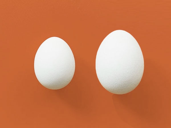 Lý do bạn nên chọn trứng vịt thay cho trứng gà | VOV.VN
