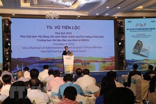 first mekong delta economic report debuts picture 1