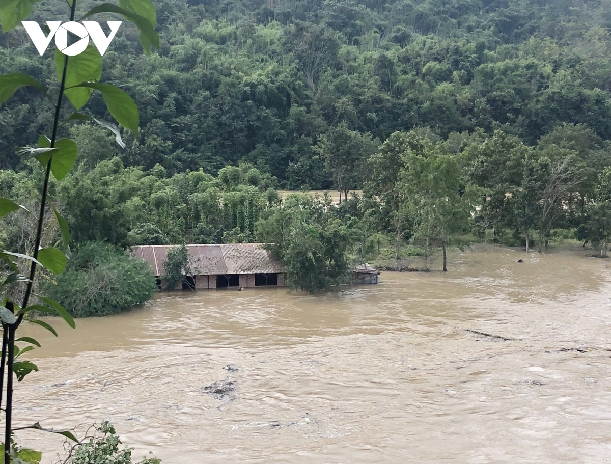 dak lak, dak nong provinces endure serious flooding despite halt in rain picture 11