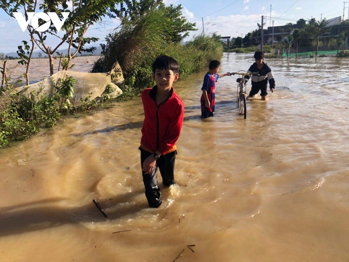 dak lak, dak nong provinces endure serious flooding despite halt in rain picture 13