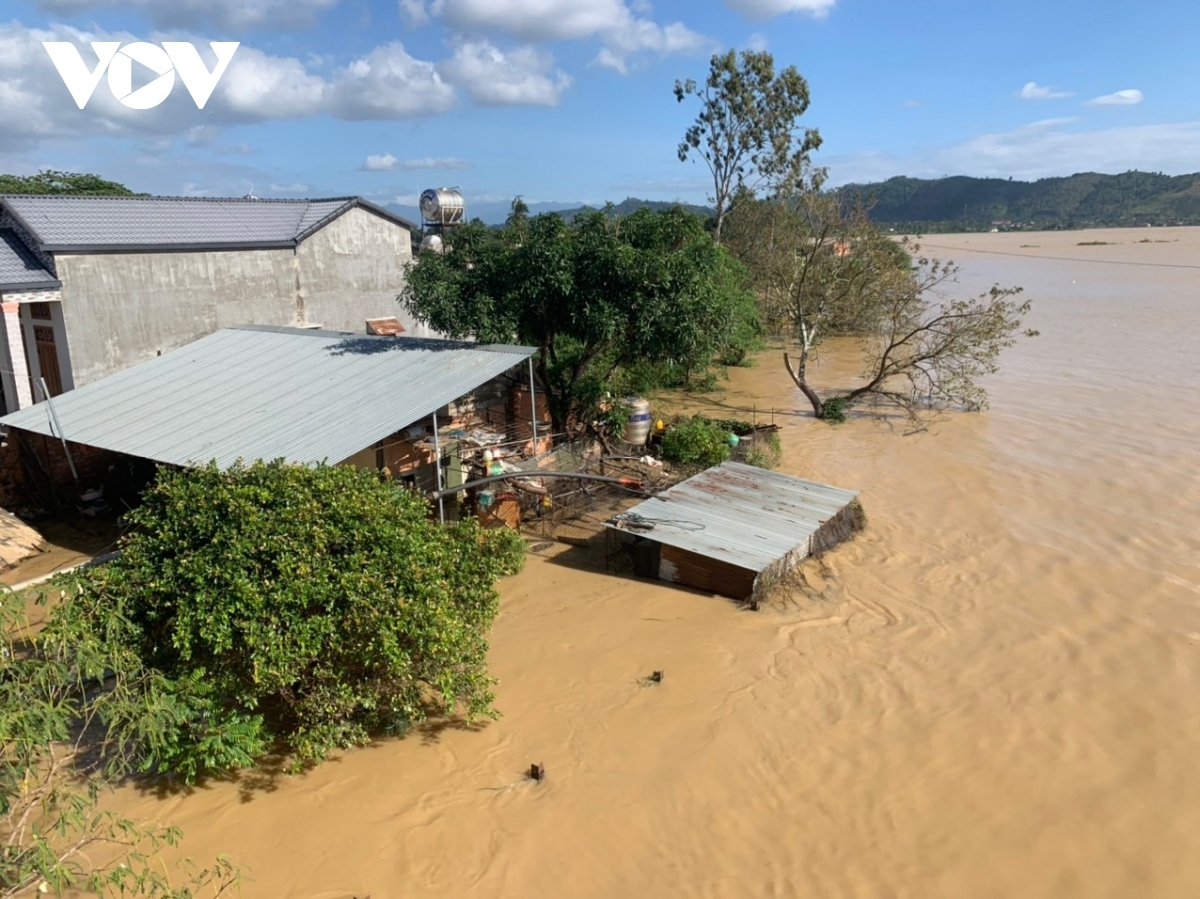 dak lak, dak nong provinces endure serious flooding despite halt in rain picture 2