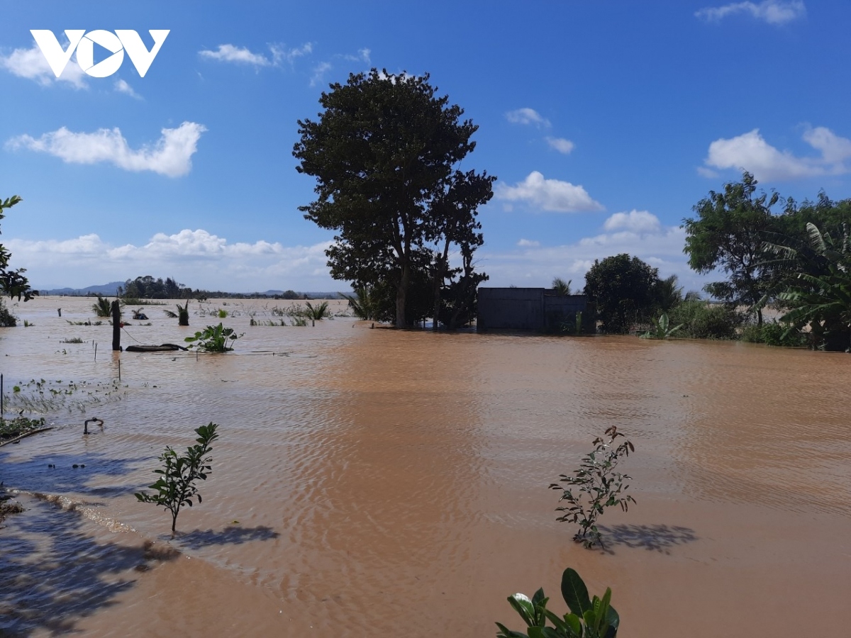 dak lak, dak nong provinces endure serious flooding despite halt in rain picture 9