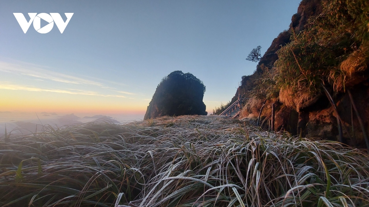 fansipan peak covered in frost as temperature plunges to zero picture 5