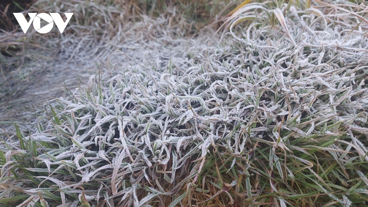 fansipan peak covered in frost as temperature plunges to zero picture 7