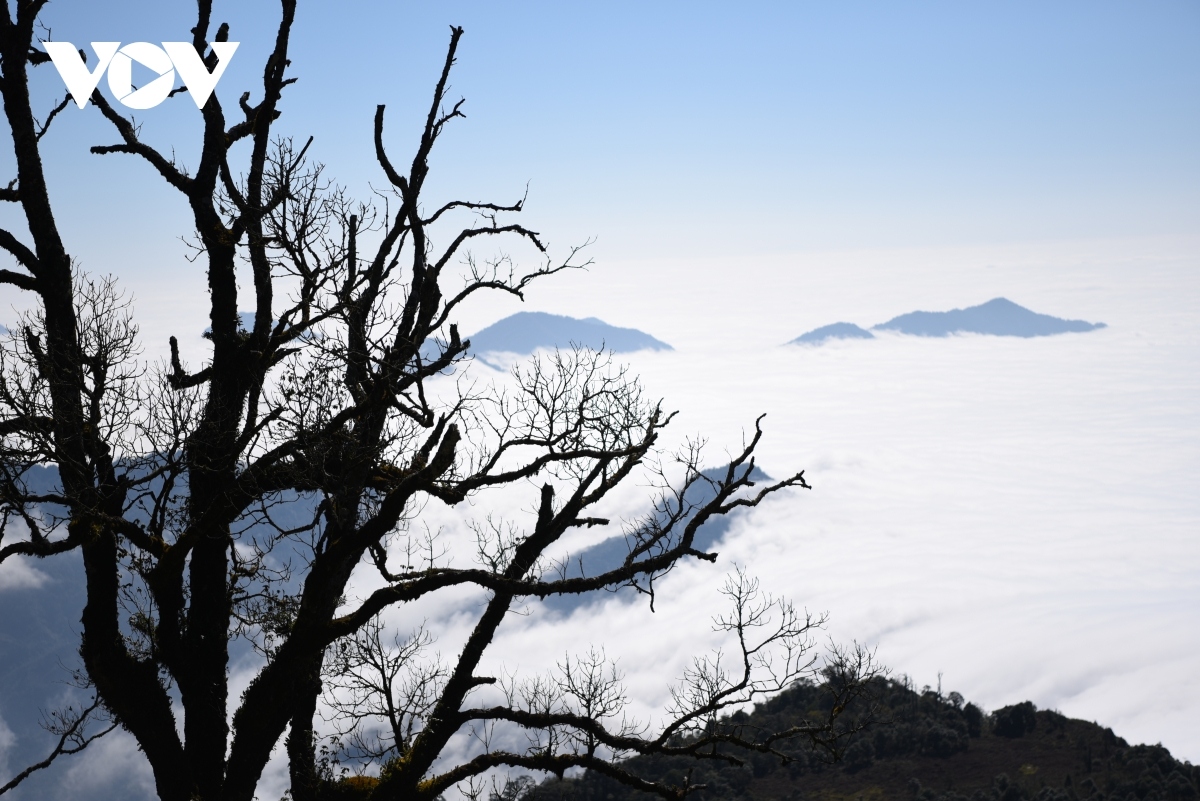  conquering chieu lau thi peak in ha giang province picture 2