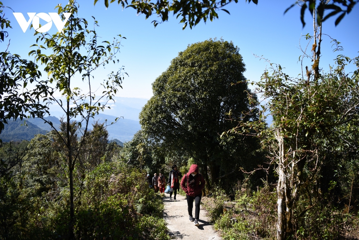  conquering chieu lau thi peak in ha giang province picture 5