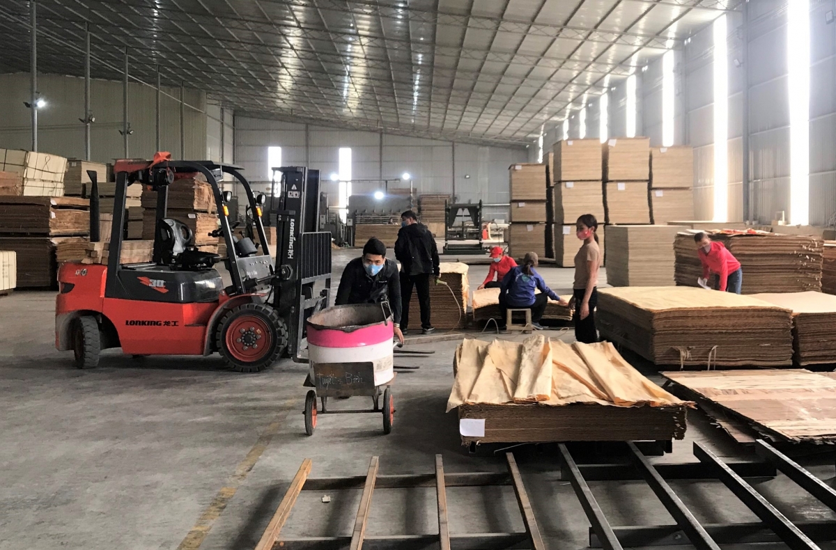 Đưa công nghiệp chế biến nông lâm sản thành kinh tế mũi nhọn của Bắc Kạn