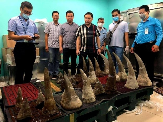 over 90kg of suspected rhino horns seized at tan son nhat airport picture 1