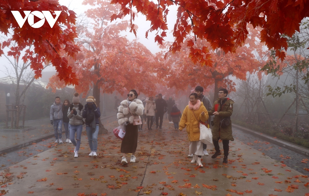 sa pa winter festival attracts visitors amid extreme cold spell picture 2