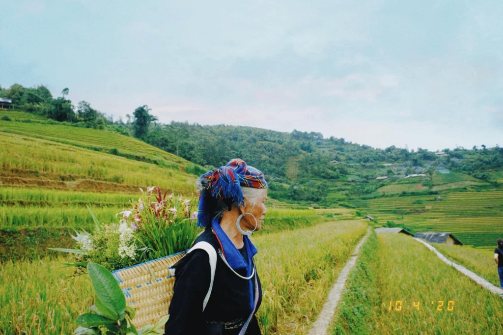 Upland women on terraced fields.  Photo: My Linh