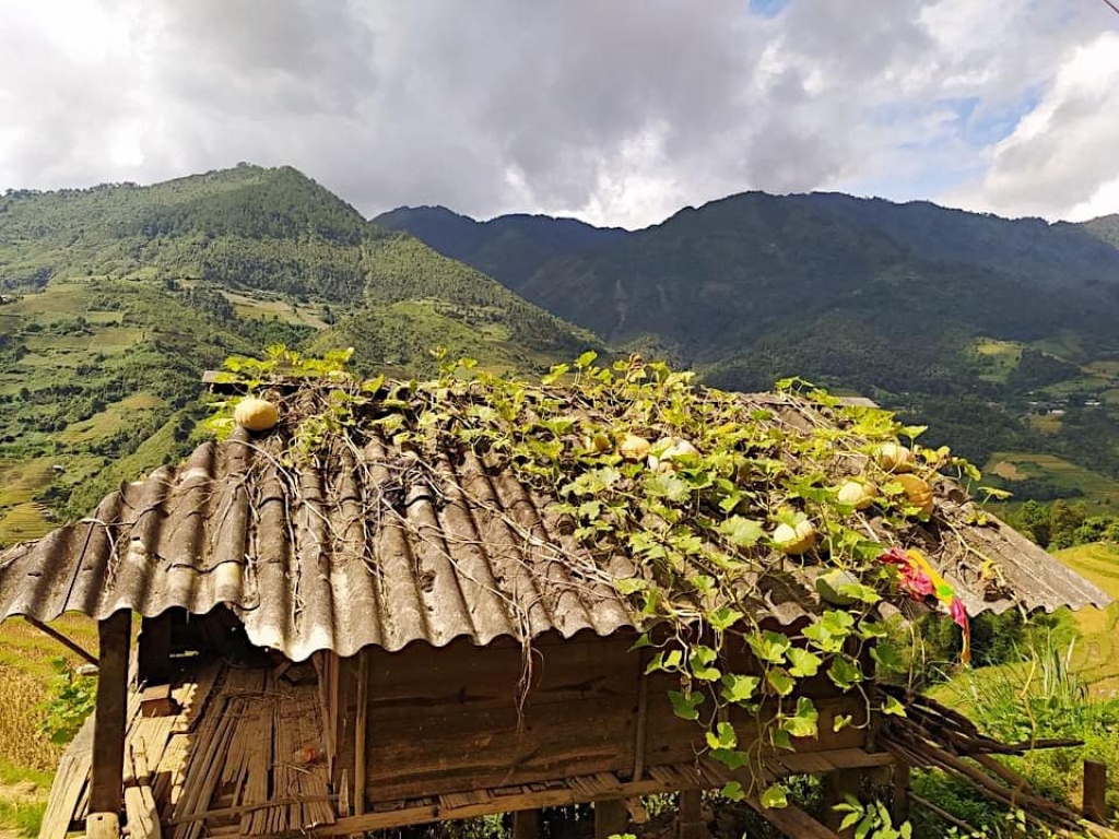 The simple houses were covered with vines.  Photo: My Linh