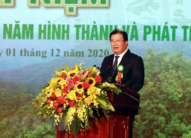 forestry production expected to grow 5-5.5 annually in next five years picture 1