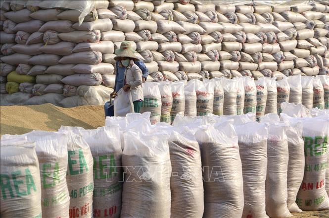 vietnam presents 1,000 tonnes of rice to flood-hit people in laos picture 1