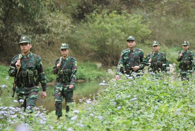 trao giai thuong cuoc thi sang tac anh nghe thuat tu hao mot dai bien cuong hinh anh 1