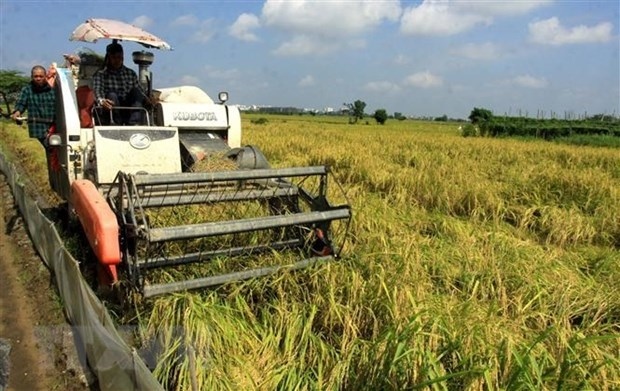 vietnam to work to ensure food security picture 1