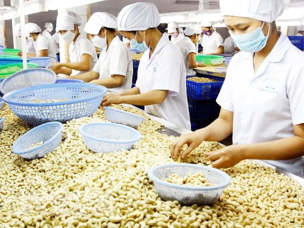 vietnam s agriculture needs support from foreign partners mard picture 1 vietnam s agriculture needs support from foreign partners mard picture 1