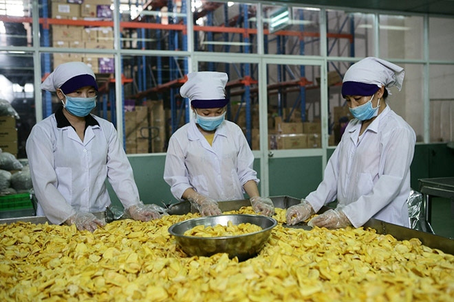 A production line at domestic dried fruit and vegetable producer Vinamit