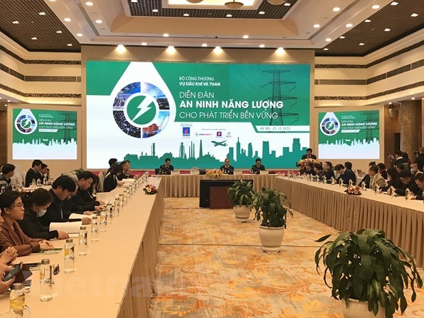 forum on energy security for sustainable development held picture 1
