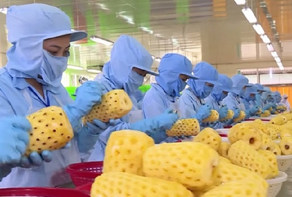 Farm produce to China stuck due to COVID-19 control policy