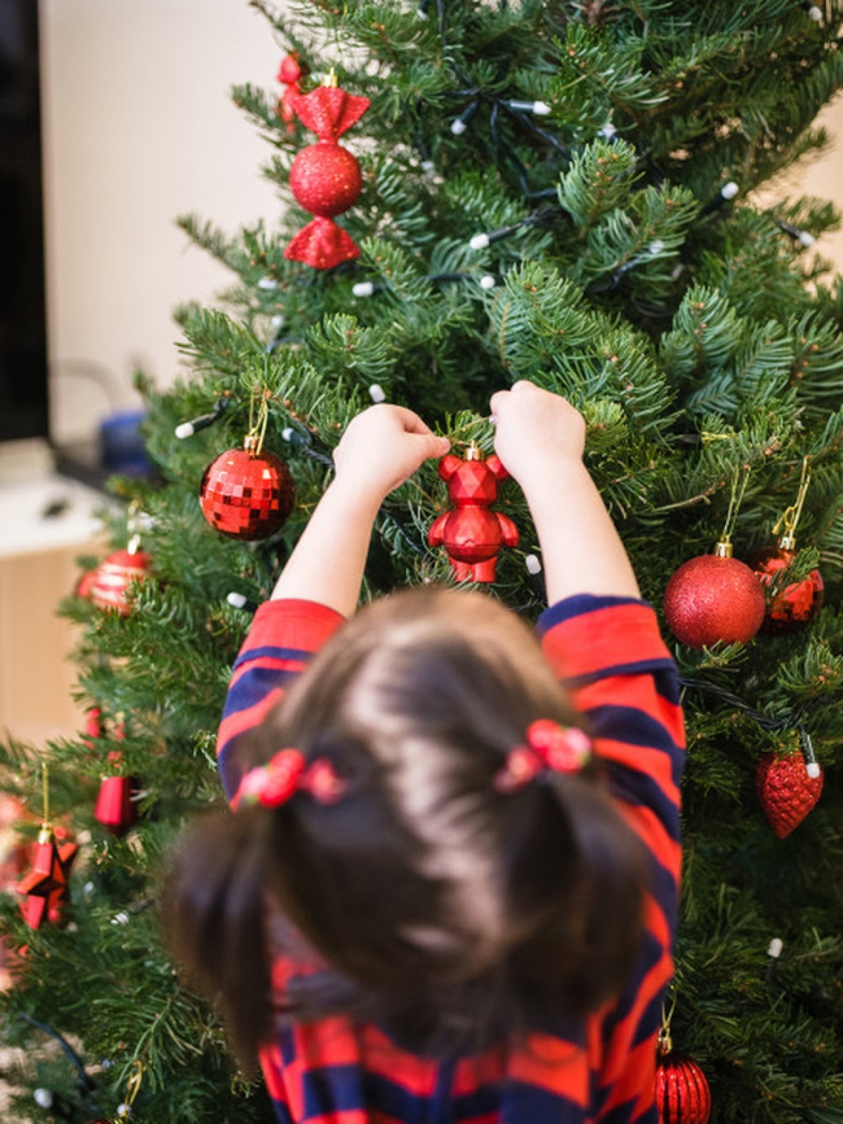 hanoians keen to buy fresh pine trees as christmas comes near picture 5