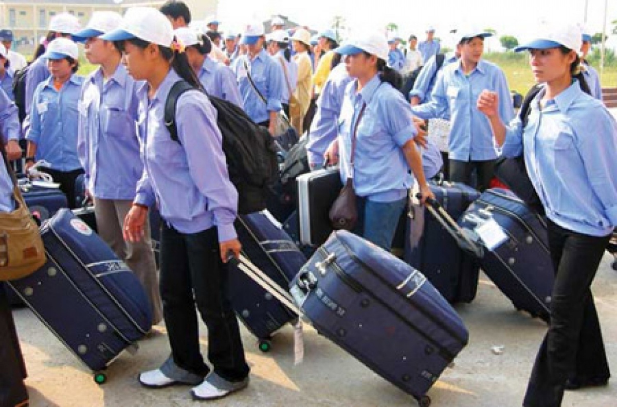 vietnamese labourers to enjoy greater protection when working abroad picture 1