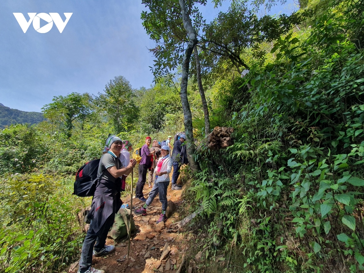 trekking up ta chi nhu mountain in yen bai province picture 3