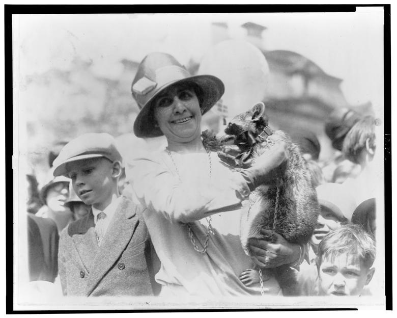 Donald Trump là tổng thống Mỹ đầu tiên trong hơn một trăm năm qua không nuôi thú cưng tại Nhà Trắng. Trước ông, chỉ có 2 tổng thống khác không nuôi thú cưng là James K Polk (1845-1849) và Andrew Johnson (1865-1869). Trong bức ảnh này (tháng 4/1927), Đệ nhất phu nhân Grace Coolidge đang ôm thú cưng gấu trúc Mỹ có tên gọi Rebecca.